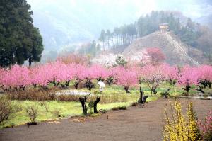 花桃の郷